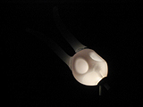 Vanitas 1